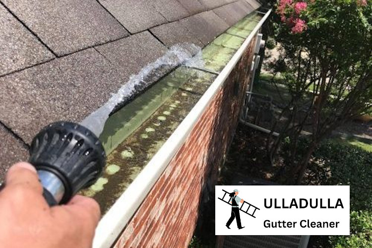 
Garden Hose Method: Rinsing Techniques by Ulladulla Gutter Cleaner