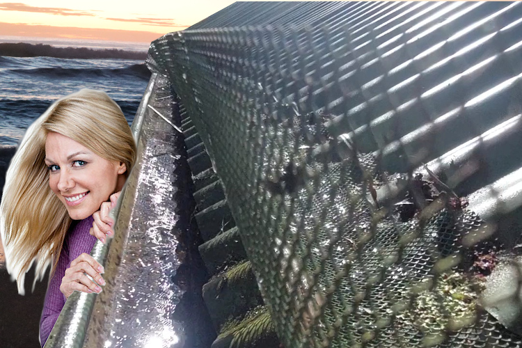 
ulladulla Woman Takes a Look at Newly Cleaned Gutter with Guards