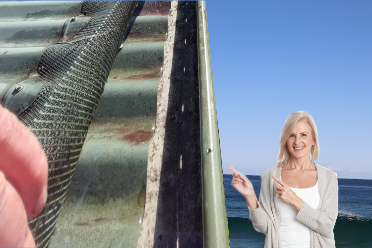 
ulladulla Woman Radiates Satisfaction After Under Gutter Guard Cleaning